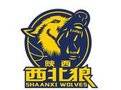 陜西信達后備隊